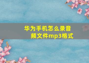 华为手机怎么录音频文件mp3格式