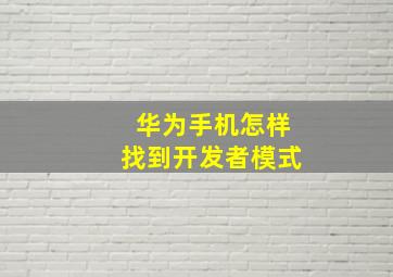 华为手机怎样找到开发者模式