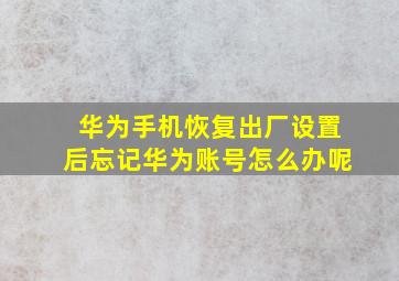 华为手机恢复出厂设置后忘记华为账号怎么办呢