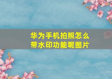 华为手机拍照怎么带水印功能呢图片