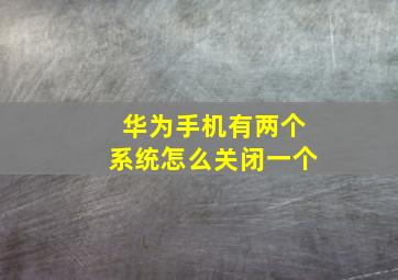 华为手机有两个系统怎么关闭一个