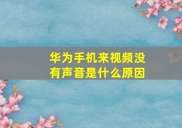 华为手机来视频没有声音是什么原因