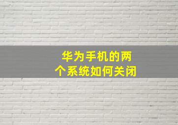 华为手机的两个系统如何关闭