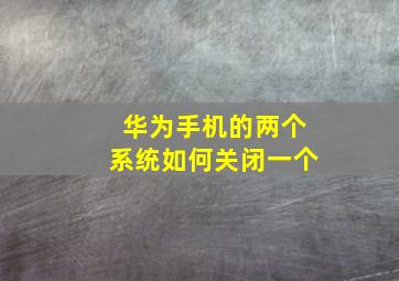 华为手机的两个系统如何关闭一个