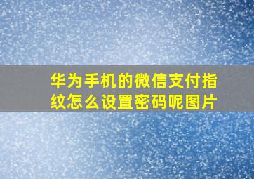 华为手机的微信支付指纹怎么设置密码呢图片