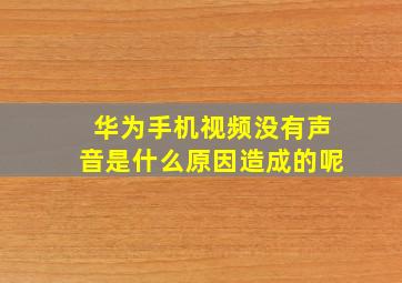 华为手机视频没有声音是什么原因造成的呢