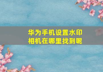 华为手机设置水印相机在哪里找到呢