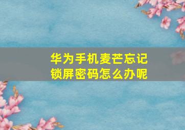 华为手机麦芒忘记锁屏密码怎么办呢