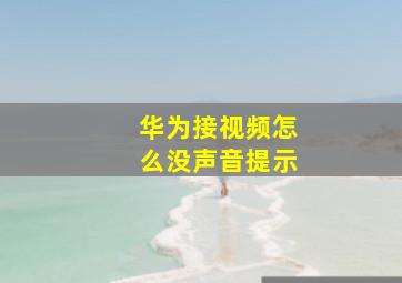 华为接视频怎么没声音提示