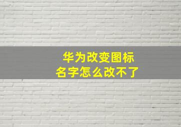 华为改变图标名字怎么改不了