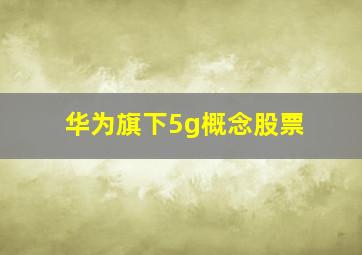 华为旗下5g概念股票