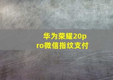 华为荣耀20pro微信指纹支付