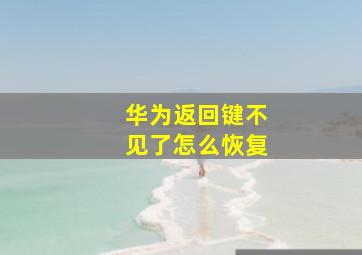 华为返回键不见了怎么恢复