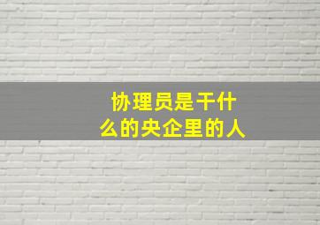 协理员是干什么的央企里的人