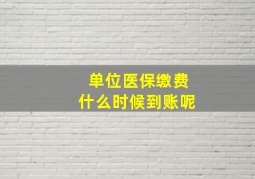 单位医保缴费什么时候到账呢