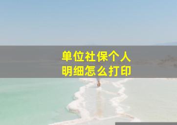 单位社保个人明细怎么打印