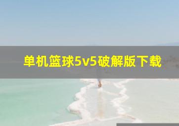 单机篮球5v5破解版下载