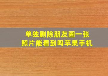 单独删除朋友圈一张照片能看到吗苹果手机