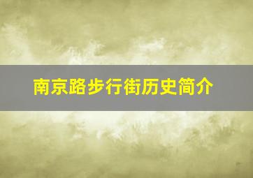 南京路步行街历史简介