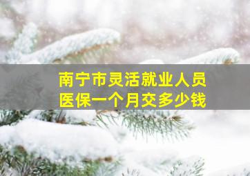 南宁市灵活就业人员医保一个月交多少钱