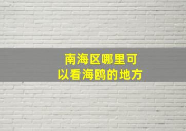 南海区哪里可以看海鸥的地方