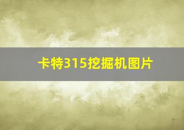 卡特315挖掘机图片