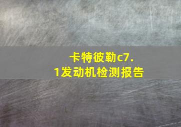 卡特彼勒c7.1发动机检测报告