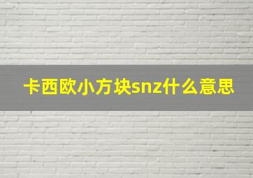 卡西欧小方块snz什么意思