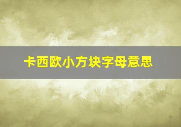 卡西欧小方块字母意思