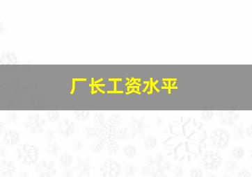 厂长工资水平