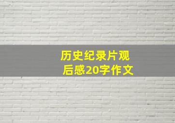 历史纪录片观后感20字作文