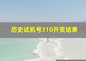 历史试机号310开奖结果