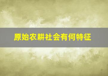 原始农耕社会有何特征