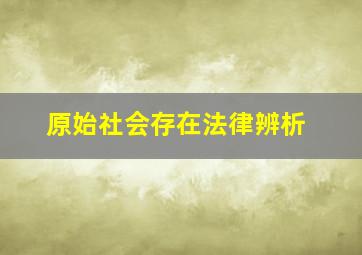 原始社会存在法律辨析