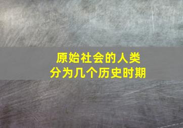 原始社会的人类分为几个历史时期