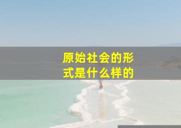 原始社会的形式是什么样的