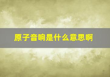 原子音响是什么意思啊