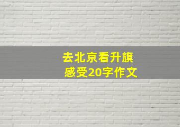 去北京看升旗感受20字作文