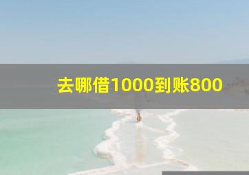 去哪借1000到账800