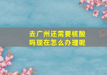 去广州还需要核酸吗现在怎么办理呢