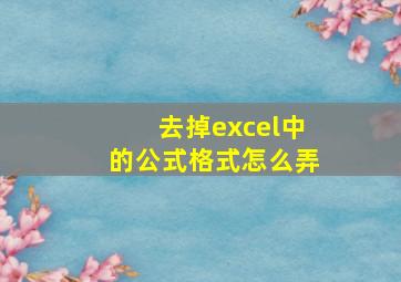 去掉excel中的公式格式怎么弄