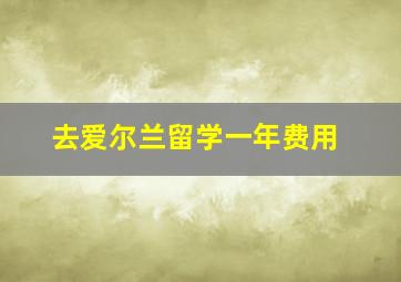 去爱尔兰留学一年费用