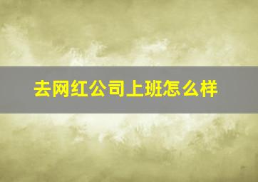 去网红公司上班怎么样