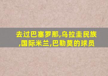 去过巴塞罗那,乌拉圭民族,国际米兰,巴勒莫的球员