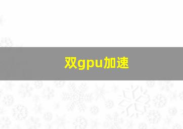 双gpu加速