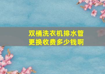 双桶洗衣机排水管更换收费多少钱啊