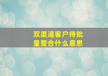 双渠道客户待批量整合什么意思