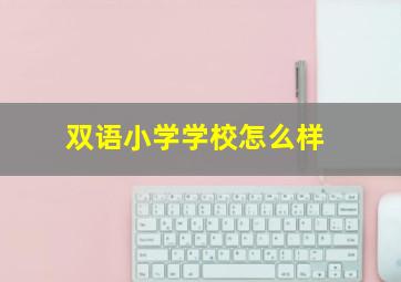 双语小学学校怎么样