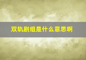 双轨剧组是什么意思啊