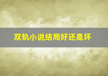 双轨小说结局好还是坏